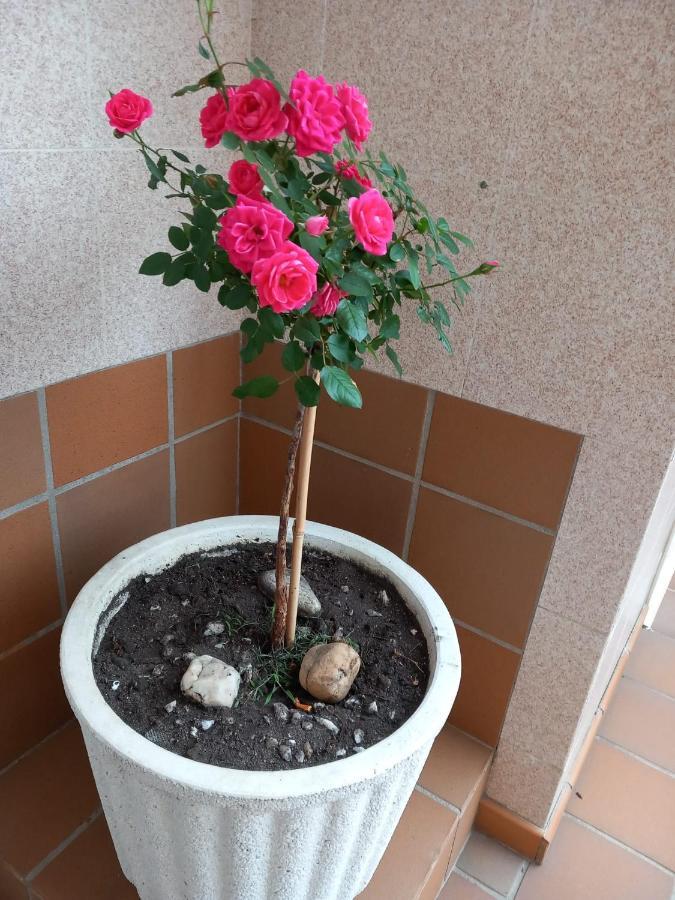 Boa Vista Διαμέρισμα Combarro Εξωτερικό φωτογραφία